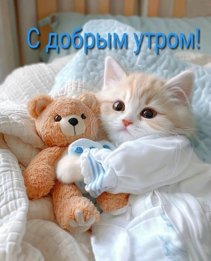 Красивые открытки❤️