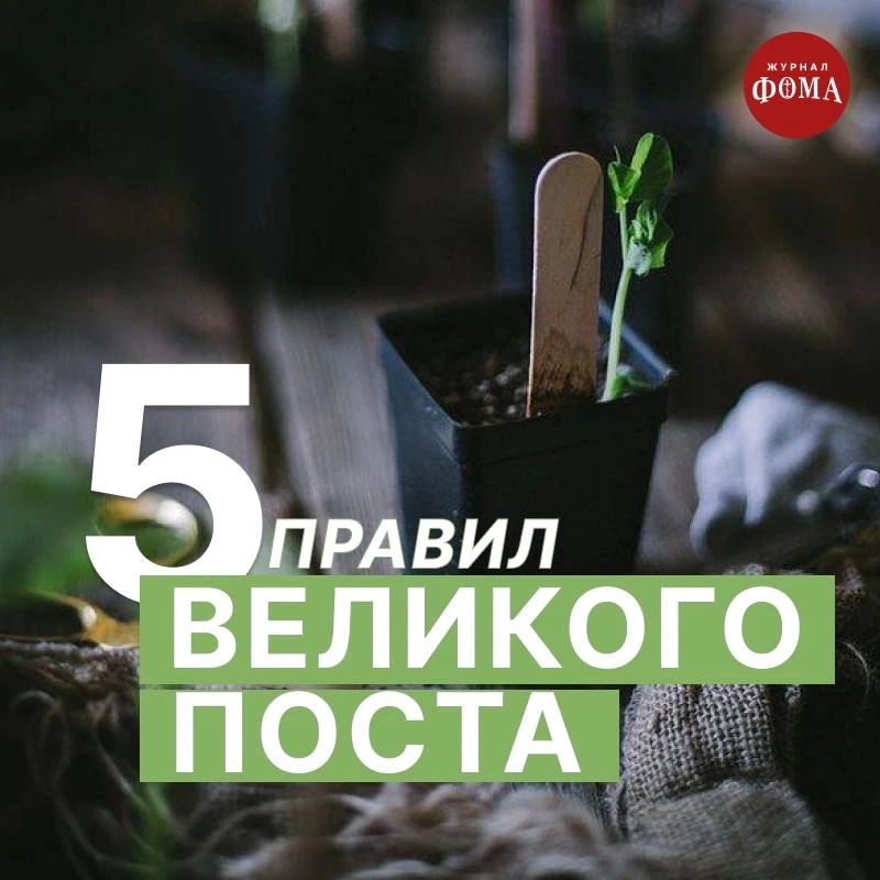 5 правил Великого поста   Читать Евангелие, молиться, творить добрые дела — все это христианин долже