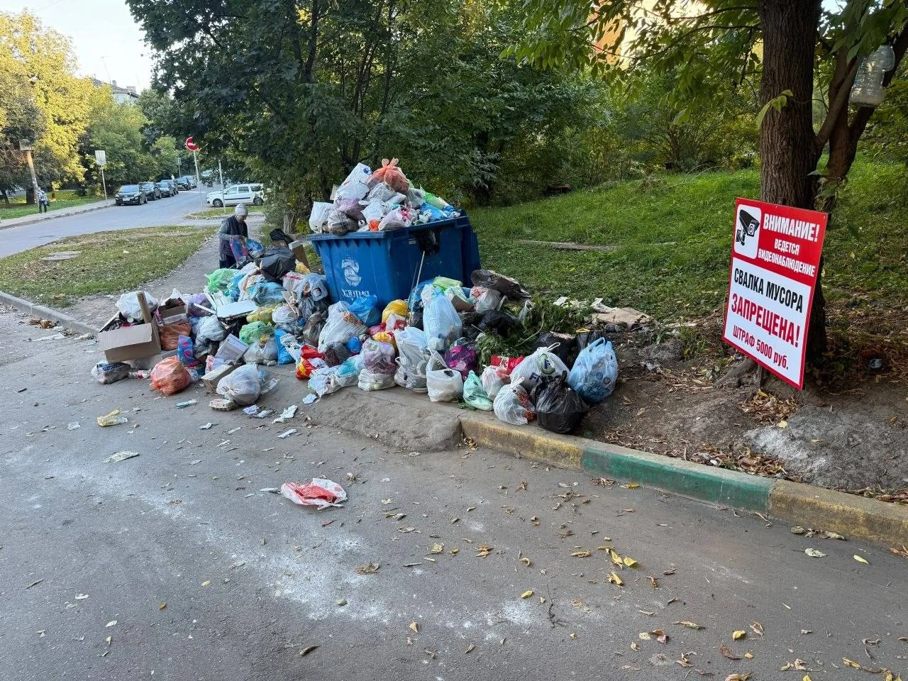 🗑 На улице Фрунзе, 23 с мусором тоже не все гладко