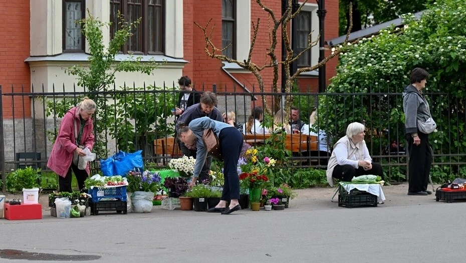 В Петербурге предложили не штрафовать пожилых за небольшую уличную торговлю