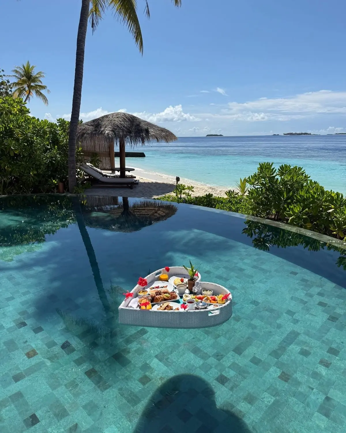 🇲🇻 Удивительный подводный мир на Мальдивах 

Ellaidhoo Maldives by Cinnamon 4* — один из самых изв
