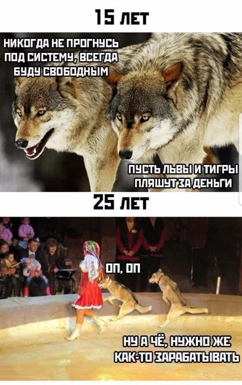 Суровая жизнь 😅