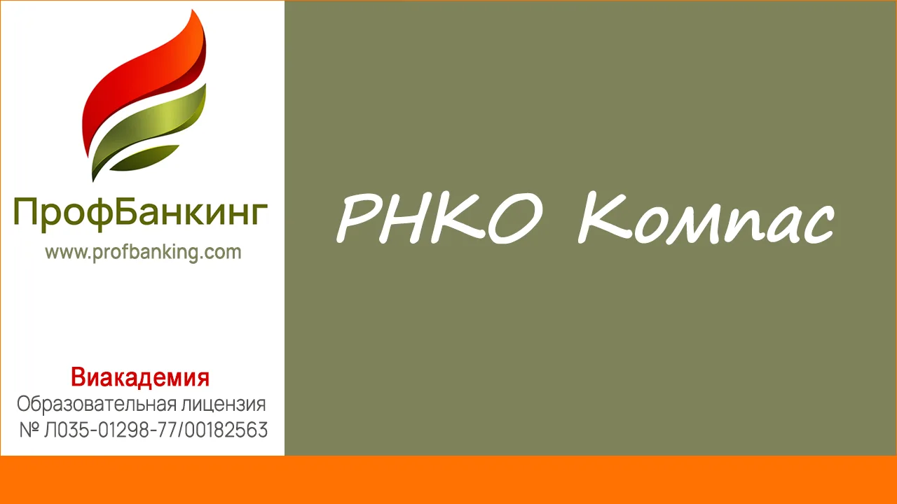 ЦБ РФ зарегистрировал под номером 3569 ещё одну новую небанковскую кредитную организаци...