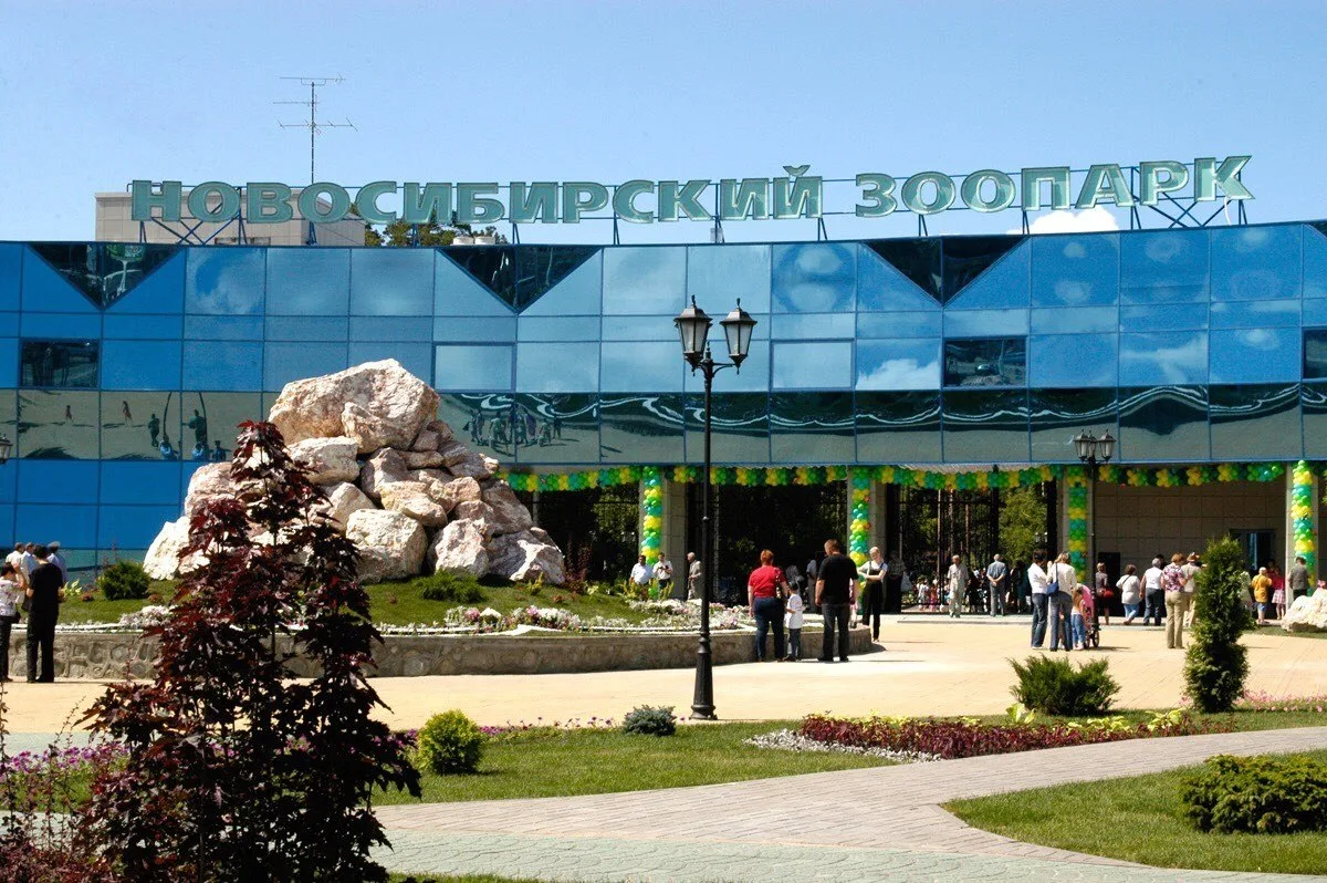 Никаких больше самокатов и роликов в Новосибирском зоопарке

С 24 июля в Новосибирском зоопарке запр
