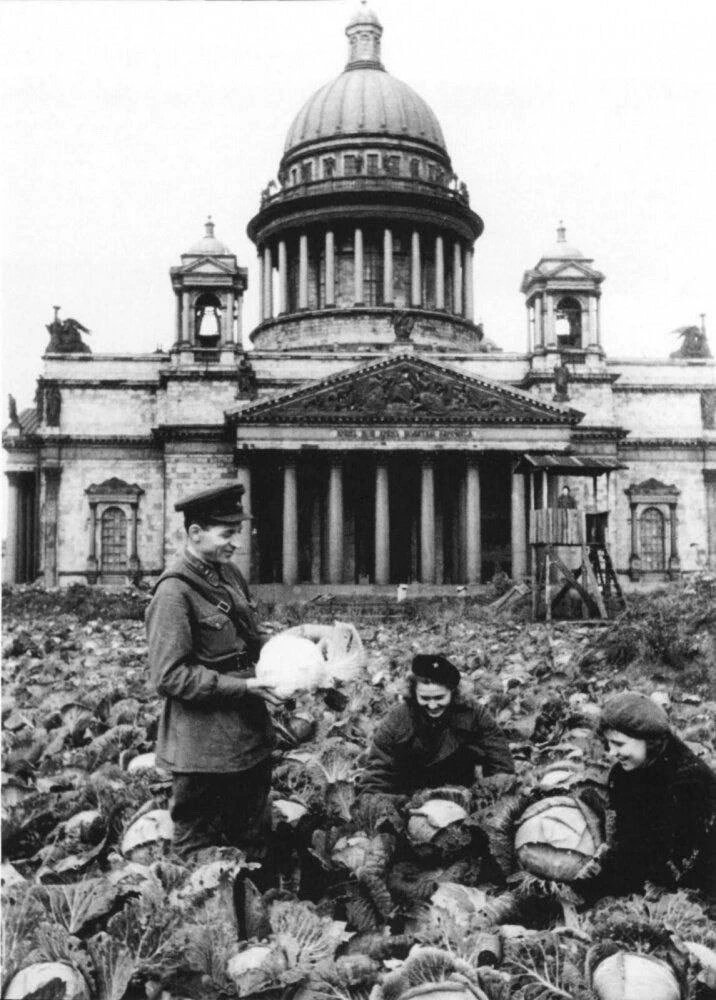 Невероятные кадры блокадного Ленинграда, в котором весной 1942 года появились огороды.