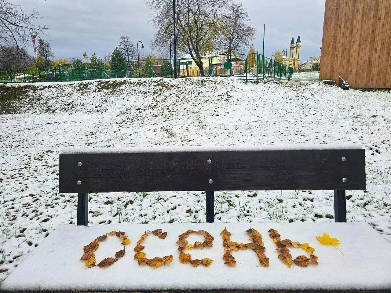 Вот и зима пришла ❄️