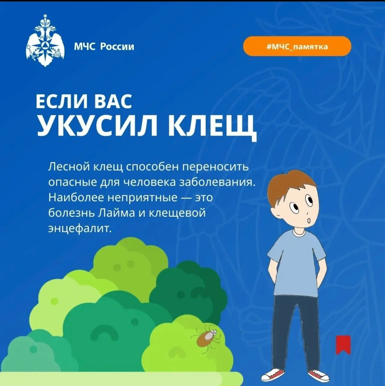 ✨️С приходом весны природа оживает: солнце греет всё сильнее, газоны покрываются изумру...
