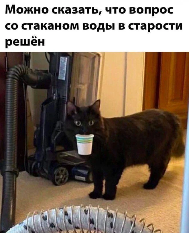 Мода Смеха