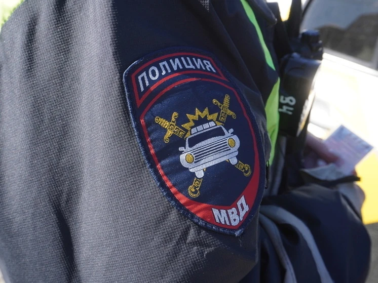 В Зее возбуждено уголовное дело против водителя, ударившего полицейский автомобиль