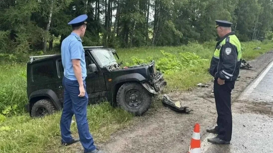 На виновника аварии в Медынском районе завели уголовное дело
 
По данным ведомства, авария произошла