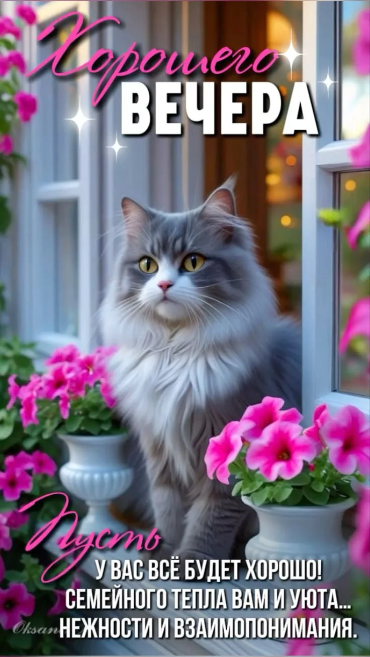 Открытки дня❤️