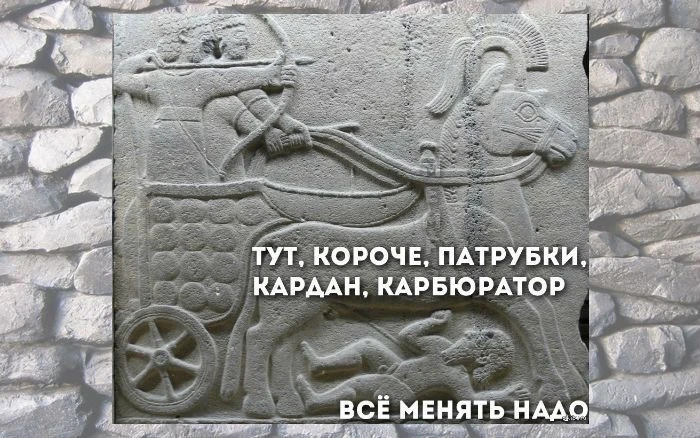 🦣 МЕМНЫЙ ВЕК