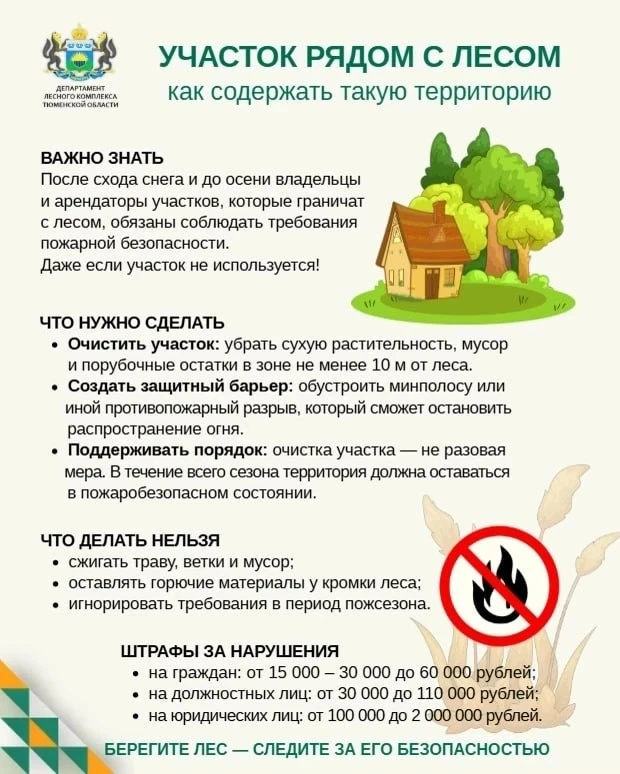 Участок рядом с лесом — что важно знать собственникам. Объясняет департамент лесного ко...