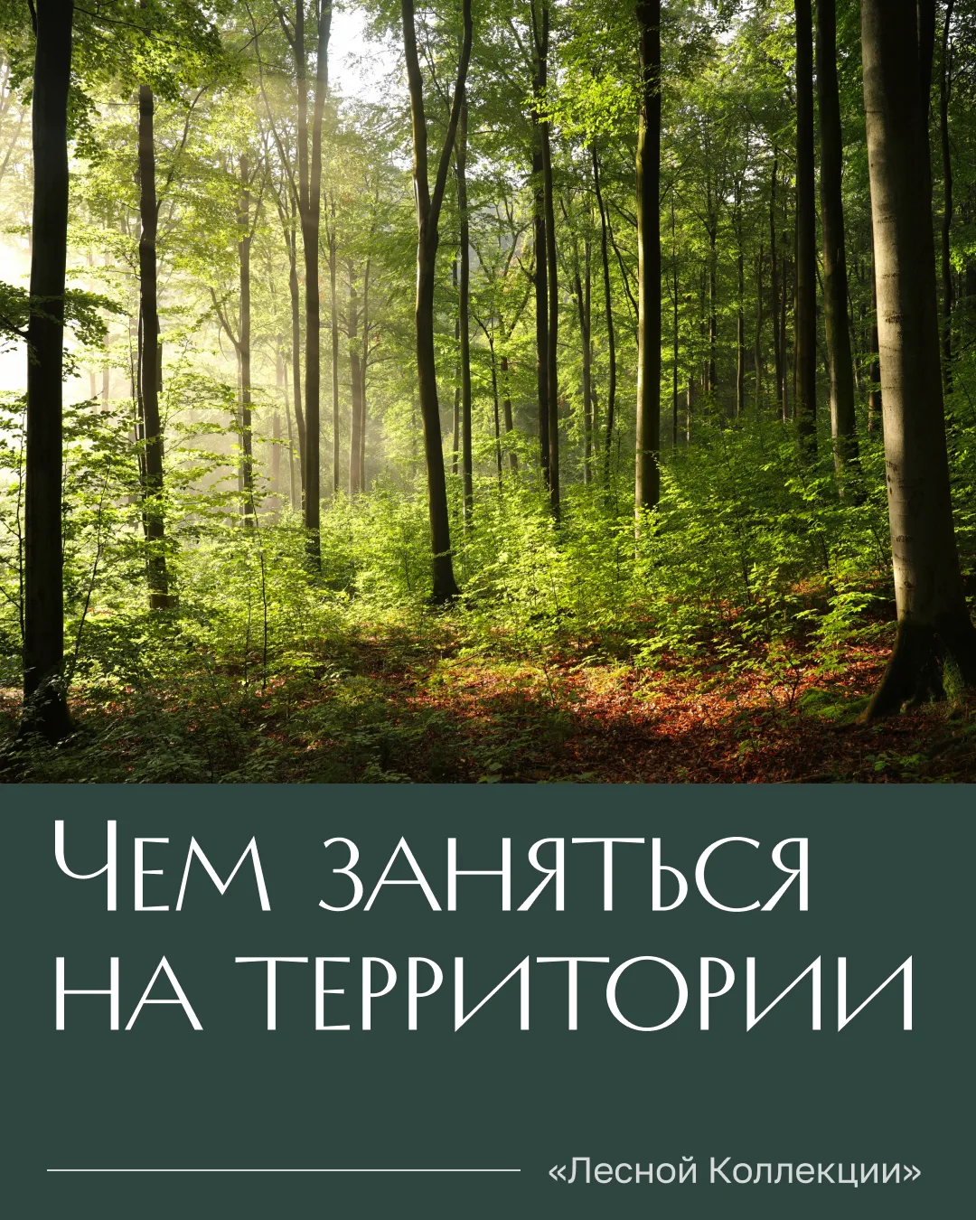 Достаточно выйти из дома, чтобы сменить обстановку.