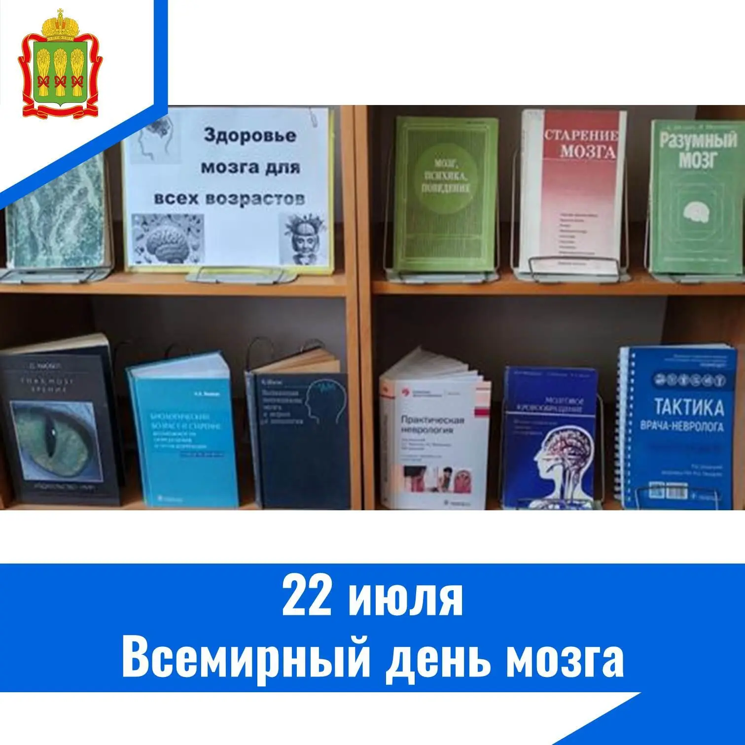 Всемирный день мозга отмечается с 2014 года по инициативе Всемирной федерации неврологии с целью при