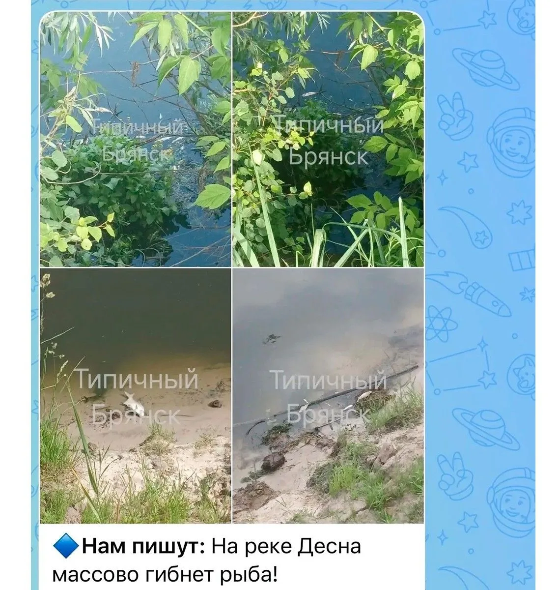 Брянская природоохранная прокуратура начала проверку по факту массовой гибели рыбы в Десне
https://n