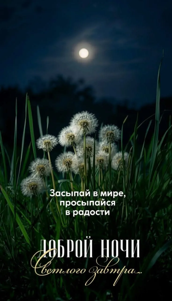 Понравилась открытка? Оставьте реакции ❤️
