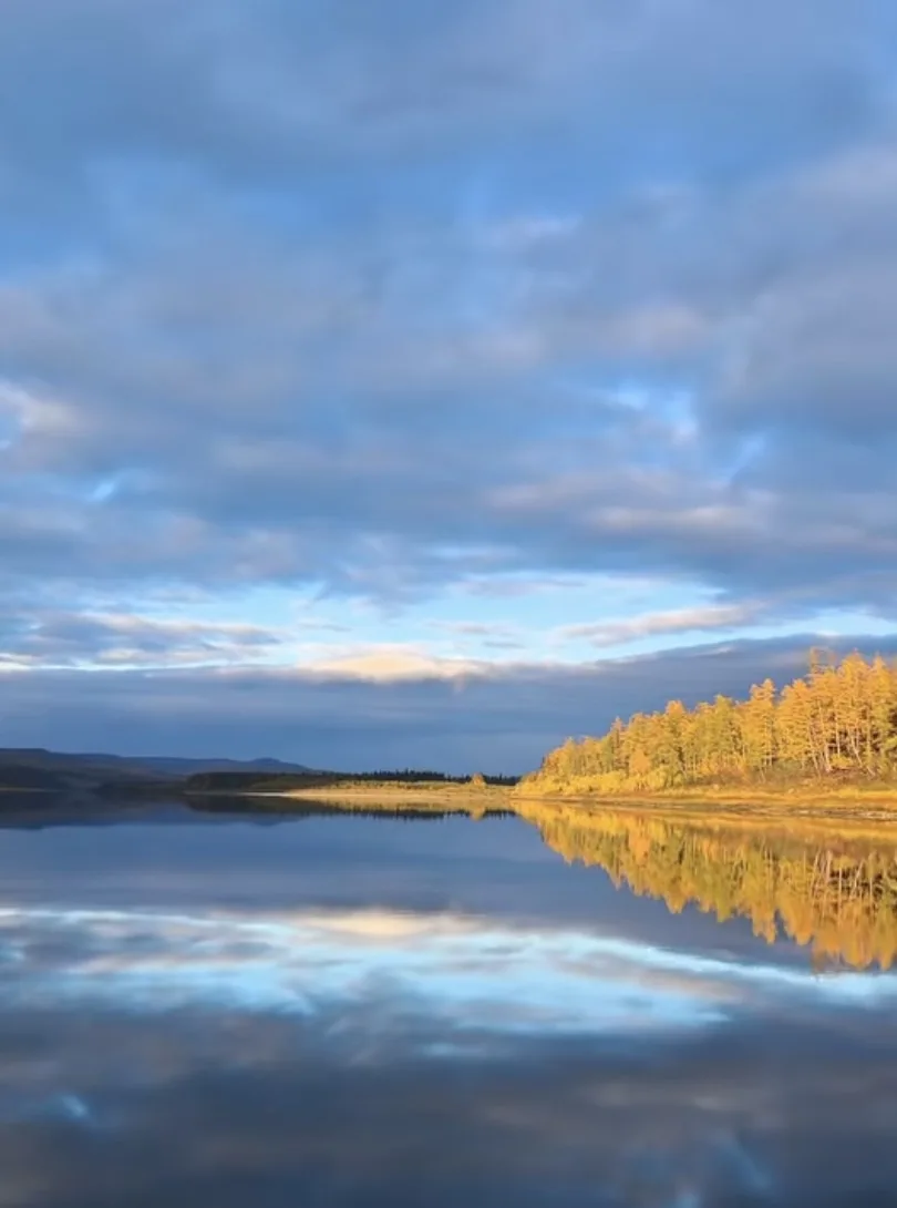 Красавица Мая в осенних красках🤩🍁🍂