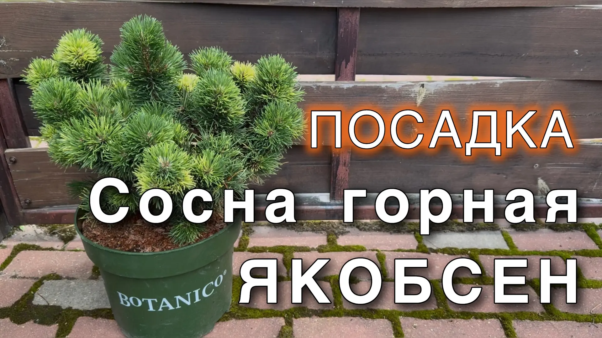 Новое видео!