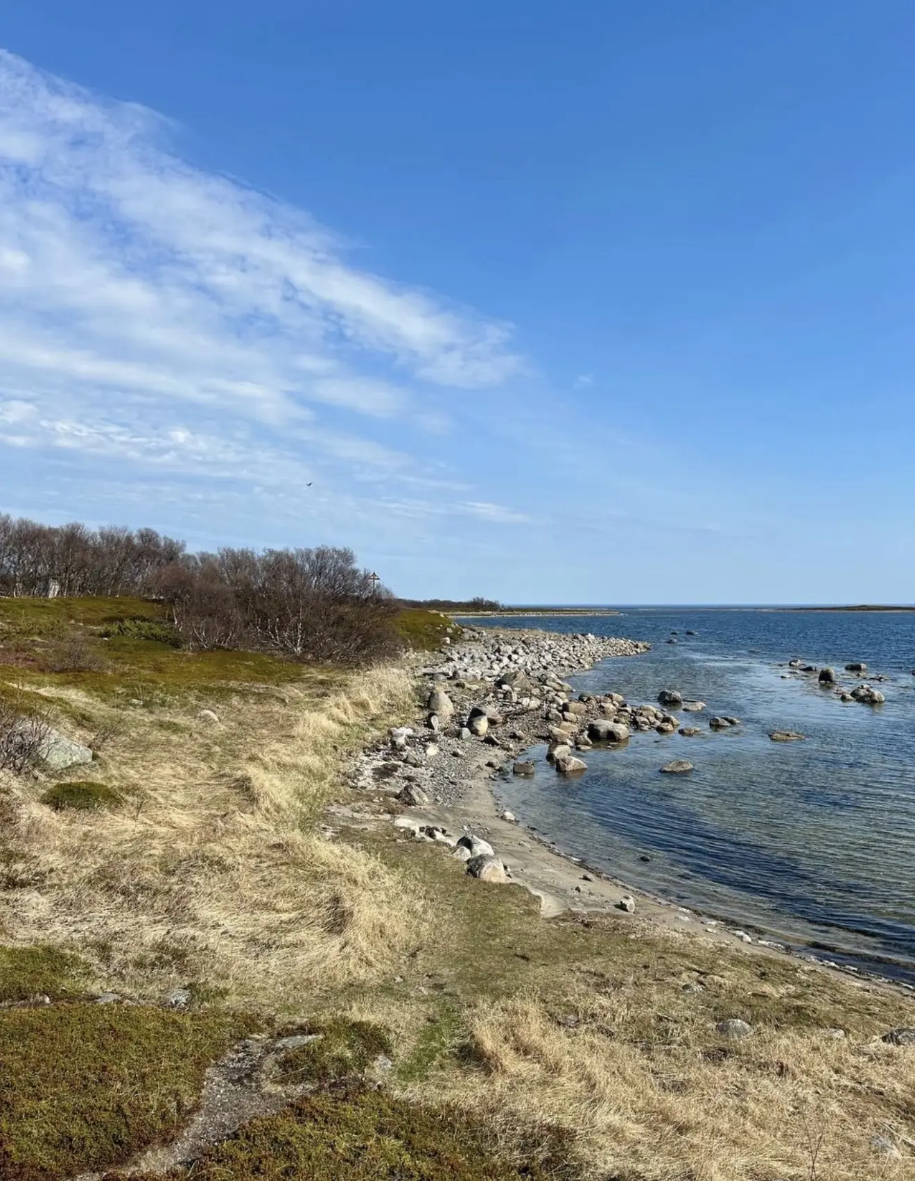 Мы стремительно приближаемся к середине мая…. 🌿
