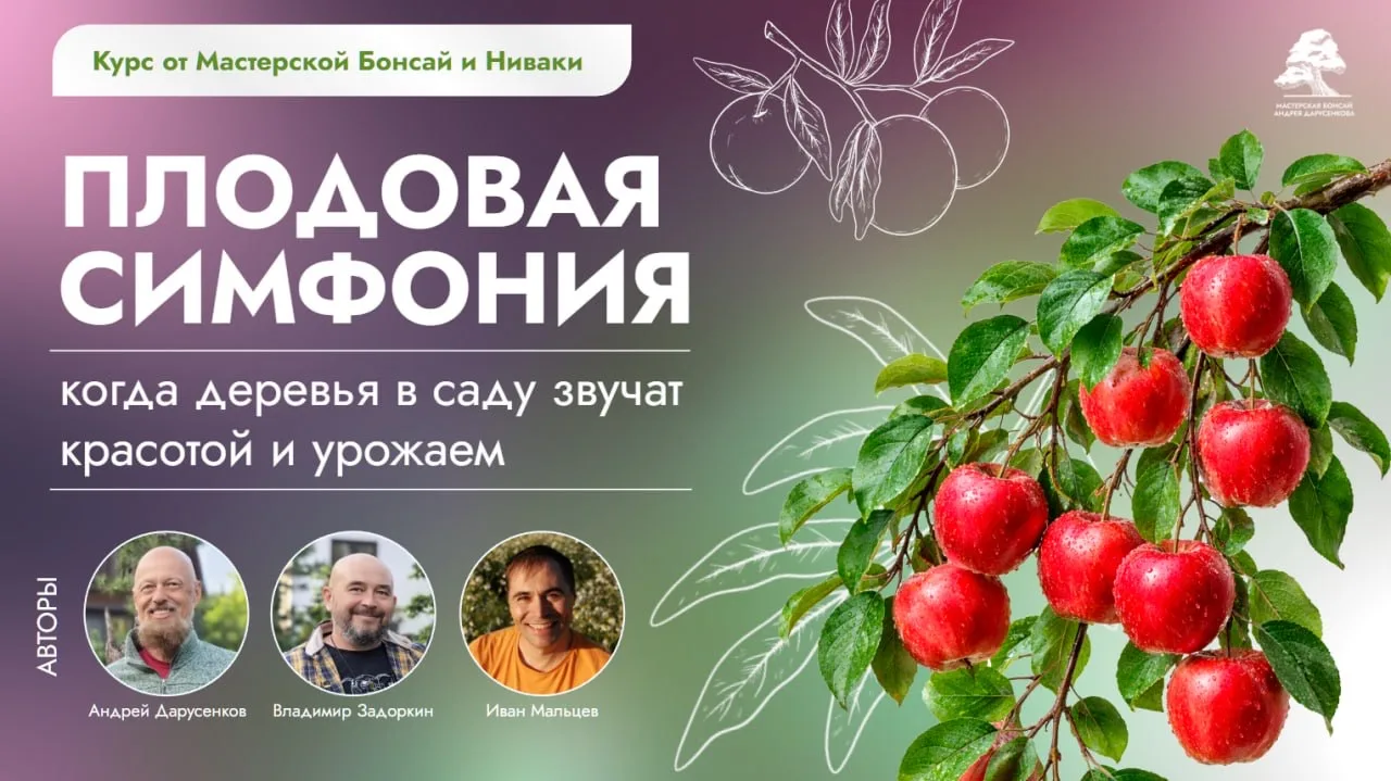 Открываем набор на "Плодовую симфонию"! Только сегодня - самые лучшие условия!🌳✨
