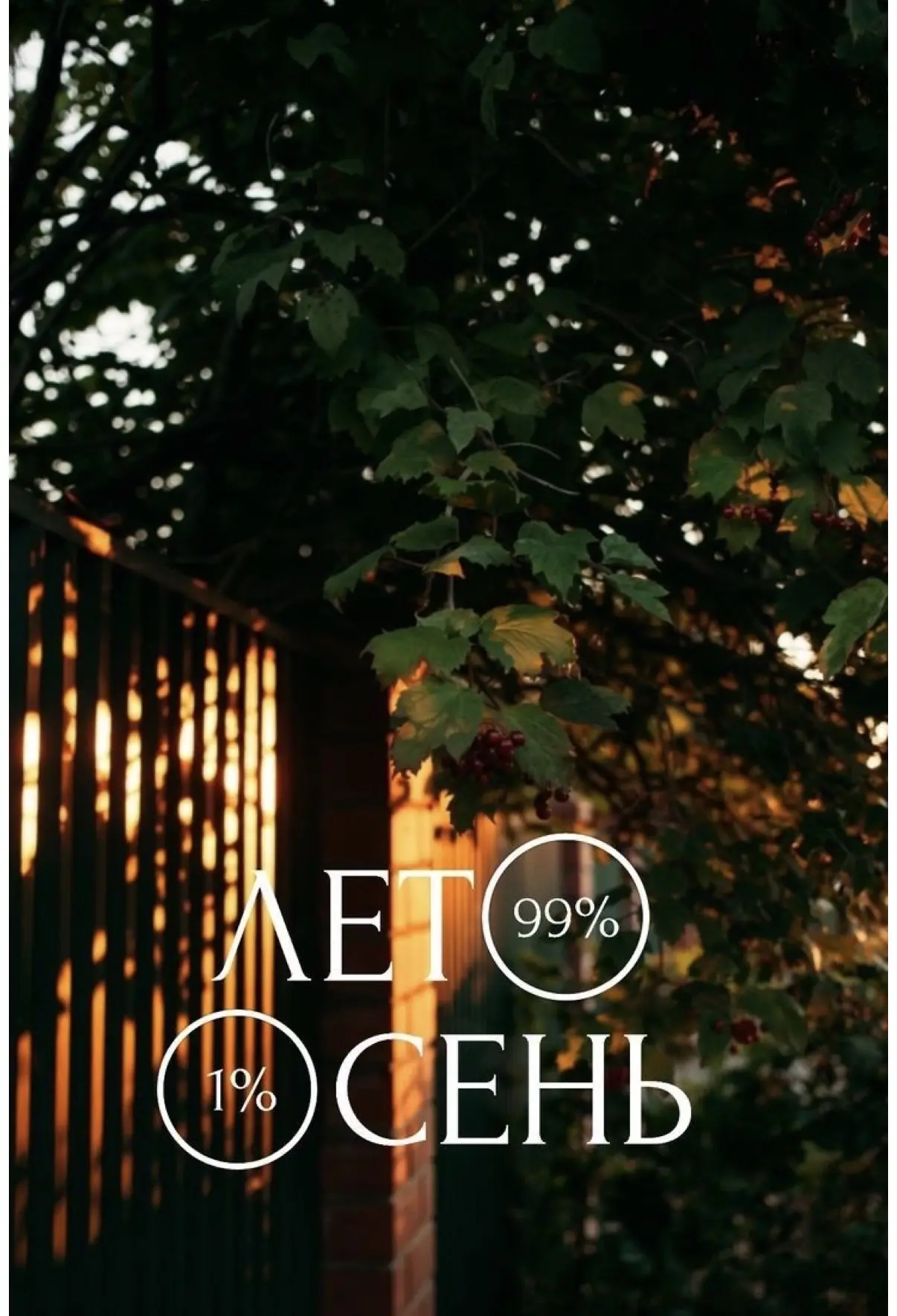 🌞 Завершение лета — время подвести итоги и сохранить яркие моменты! 🌅