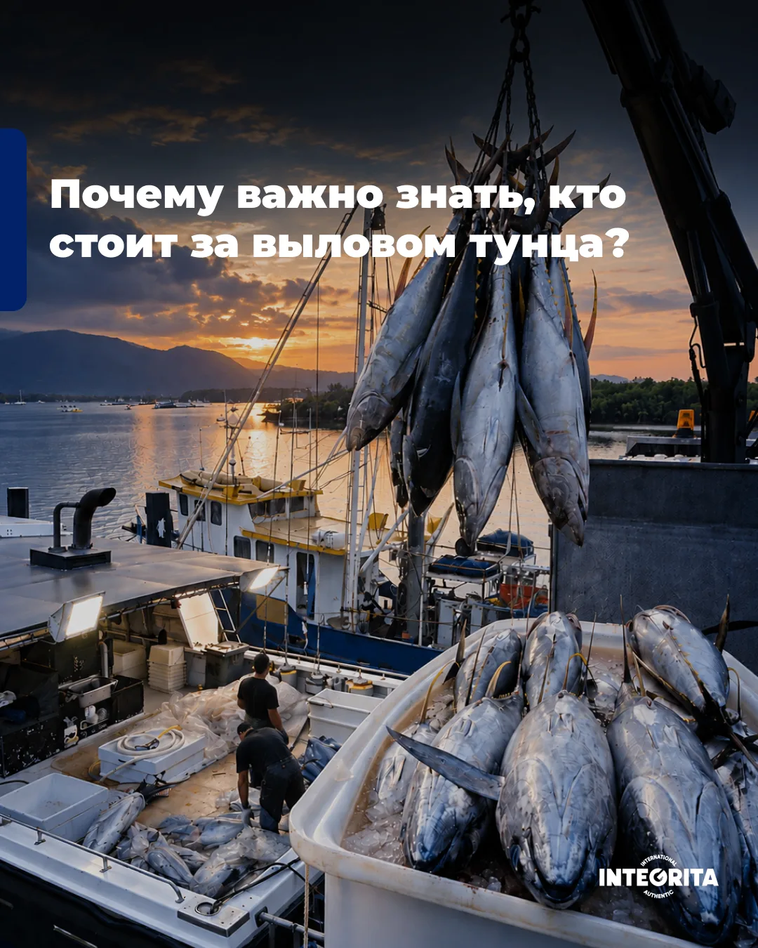 🐟 Почему собственный флот имеет значение для качества тунца?