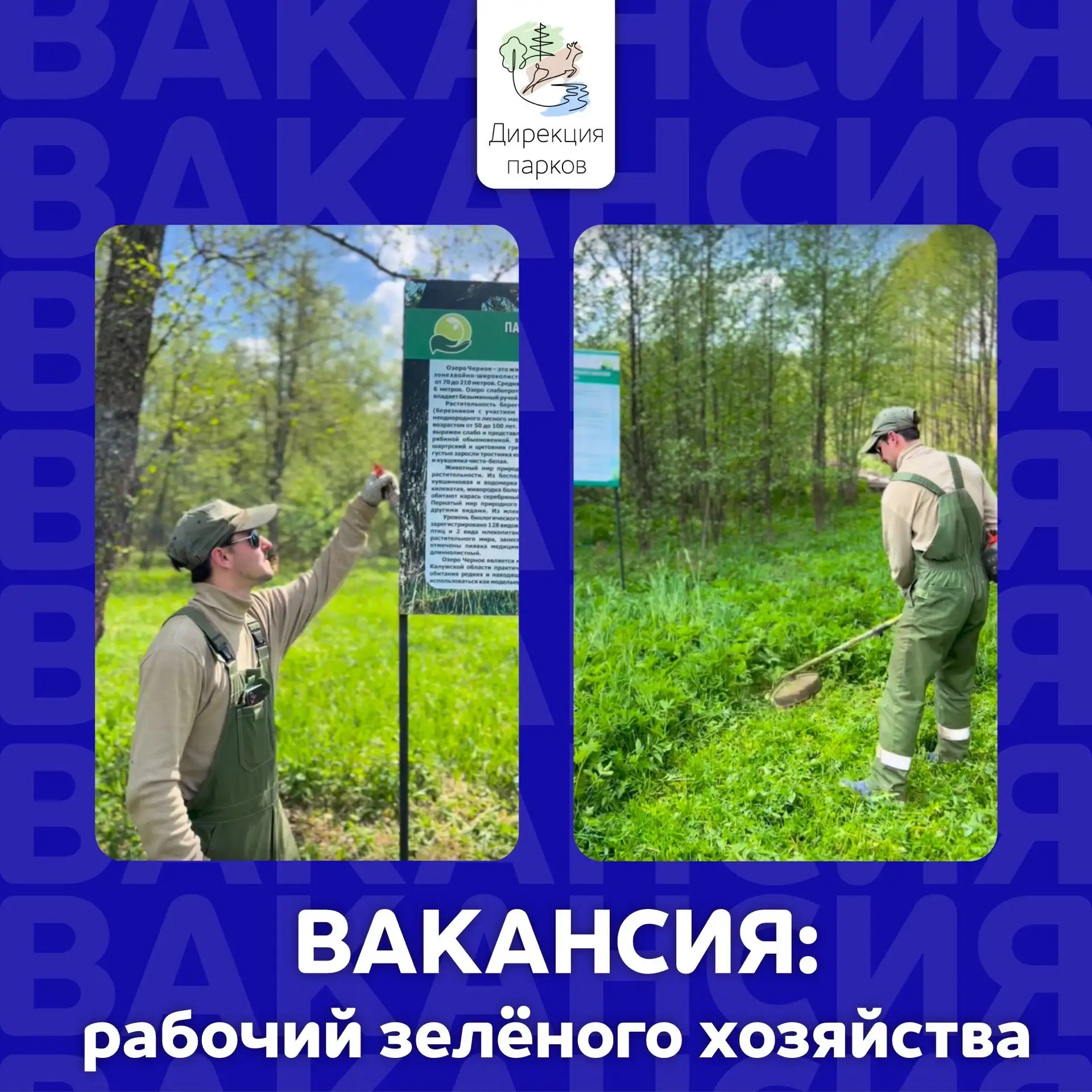 Возможно мы ищем друг друга 😉 🌳