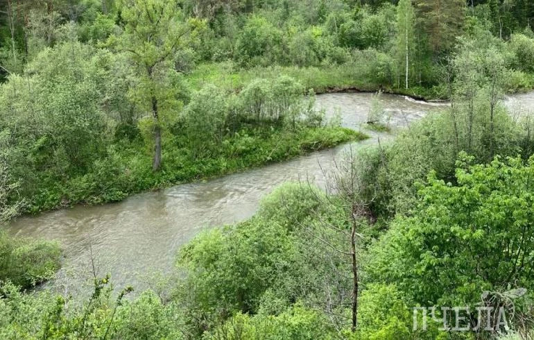 🌧 После обильных дождей, прошедших в Челябинской области в выходные, гидротехнические ...