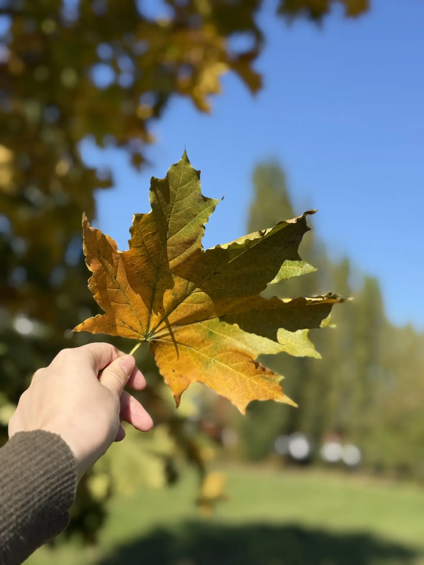 Вот и 1 октября! 🍁