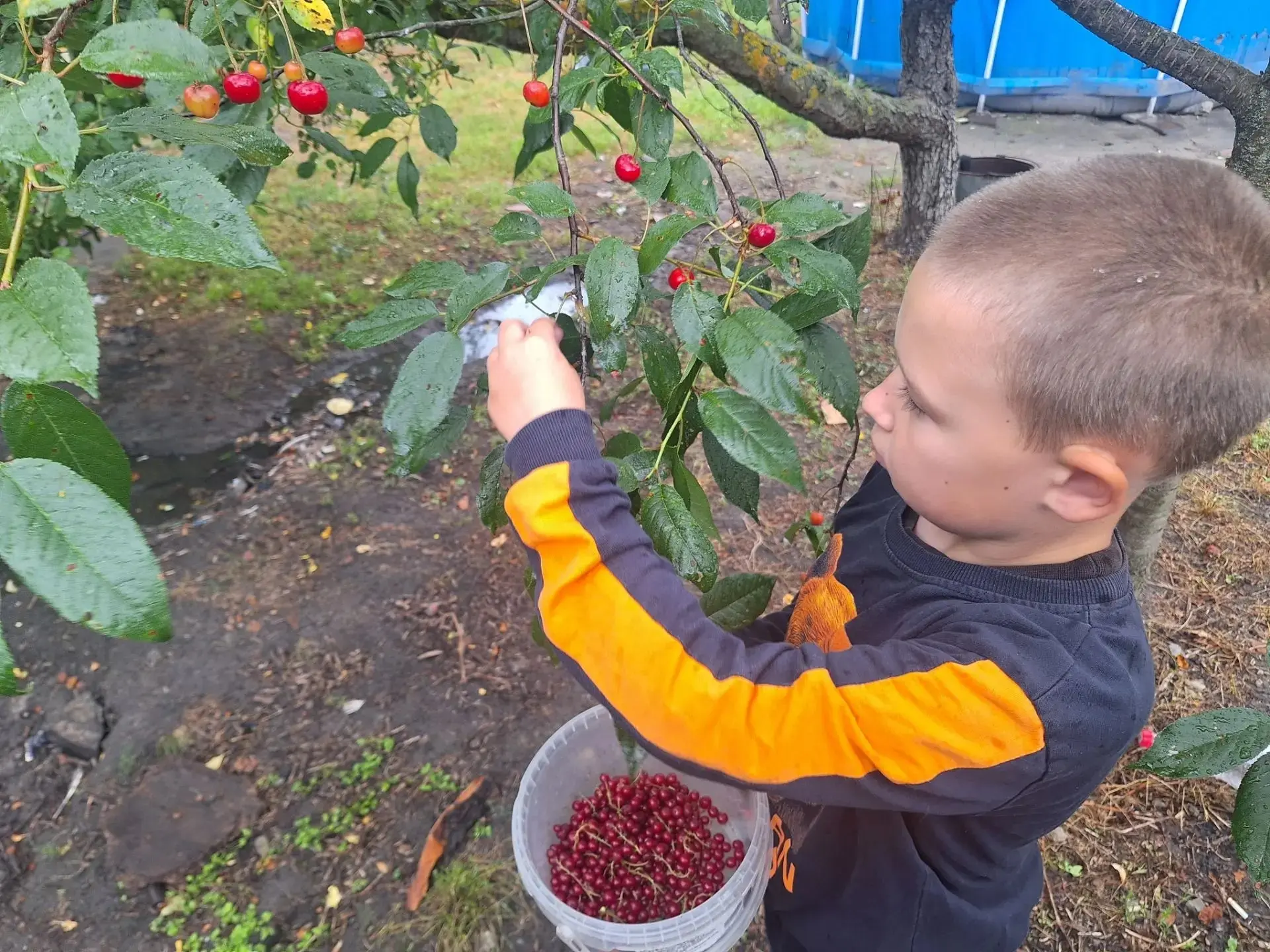 Июль- ягодная пора!🐝
 
 🦋Июль – макушка лета, серёдка цвета – так говорит народная пословица. 

 �