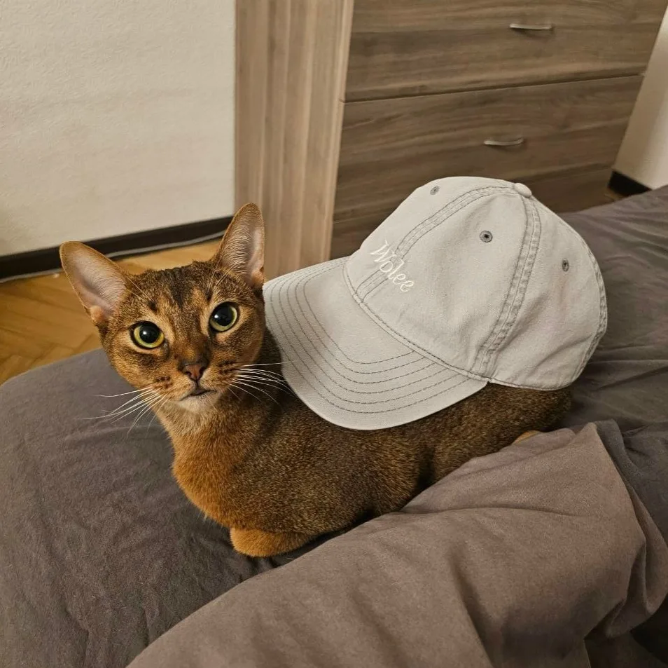 у наc завeлаcь улитка😞

Секреты нашей природы 👉

✅ Животные - Подпишись