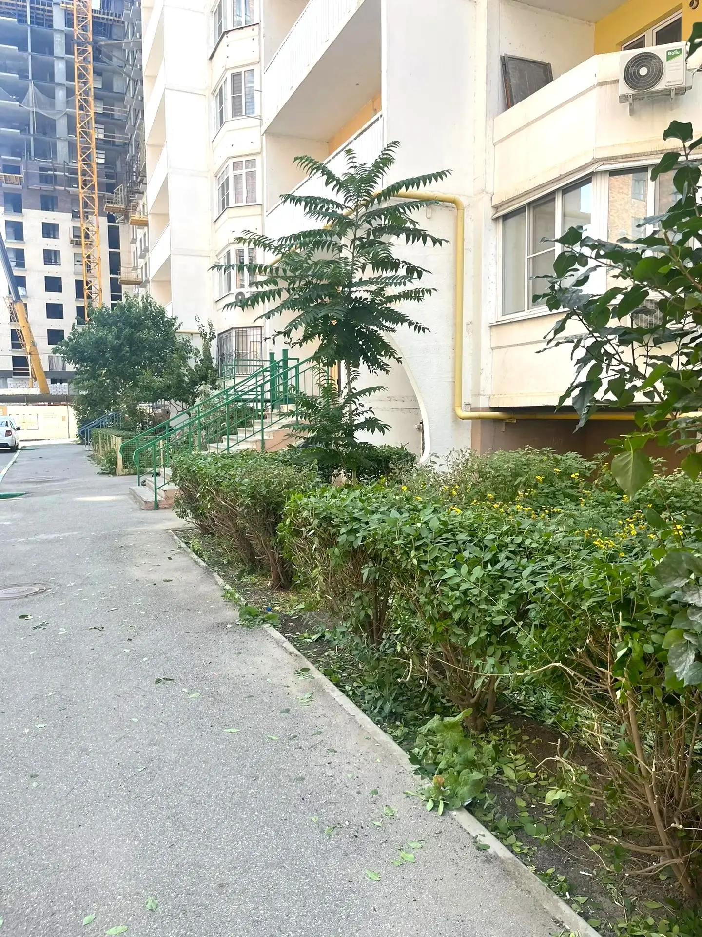 К новости «🌳 Летнее преображение»