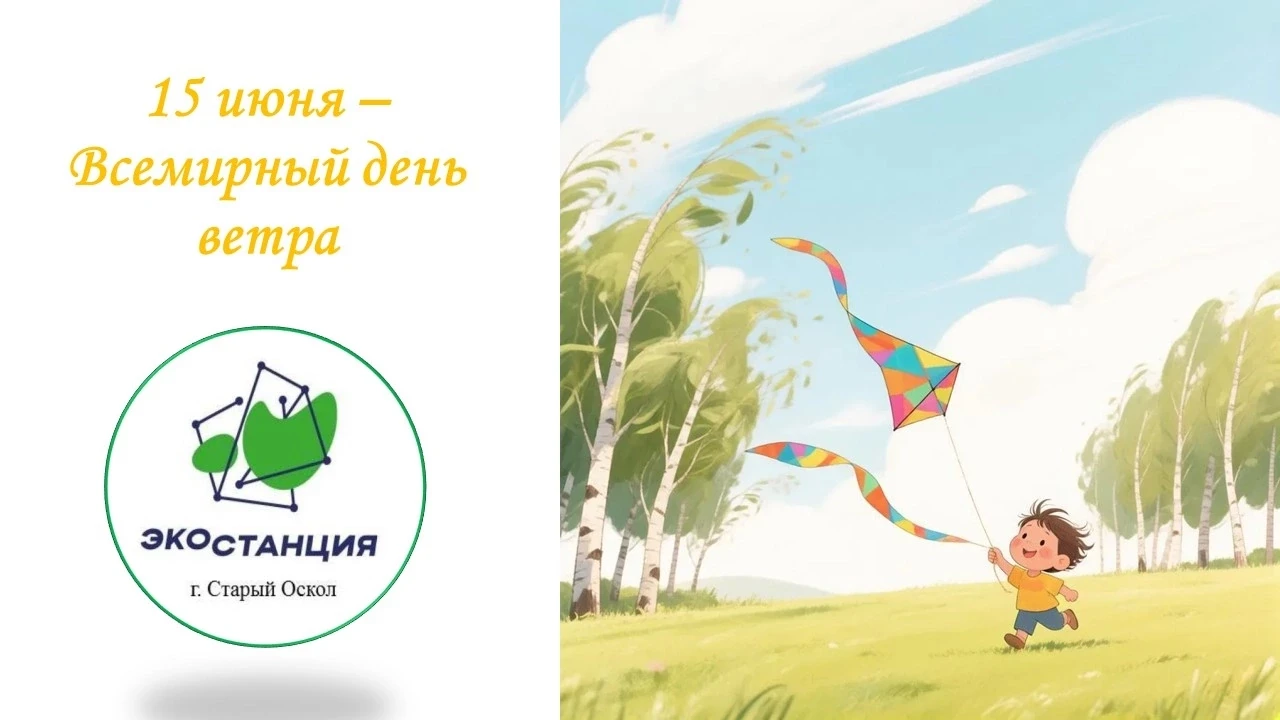 Невидимая сила: сегодня Всемирный день ветра! 🌬🍃

Его нельзя увидеть, но можно почувствовать. Он м