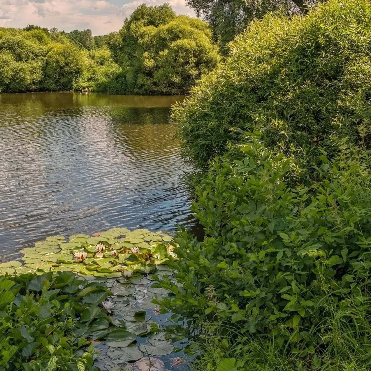 😍 Летние кадры Измайловского парка