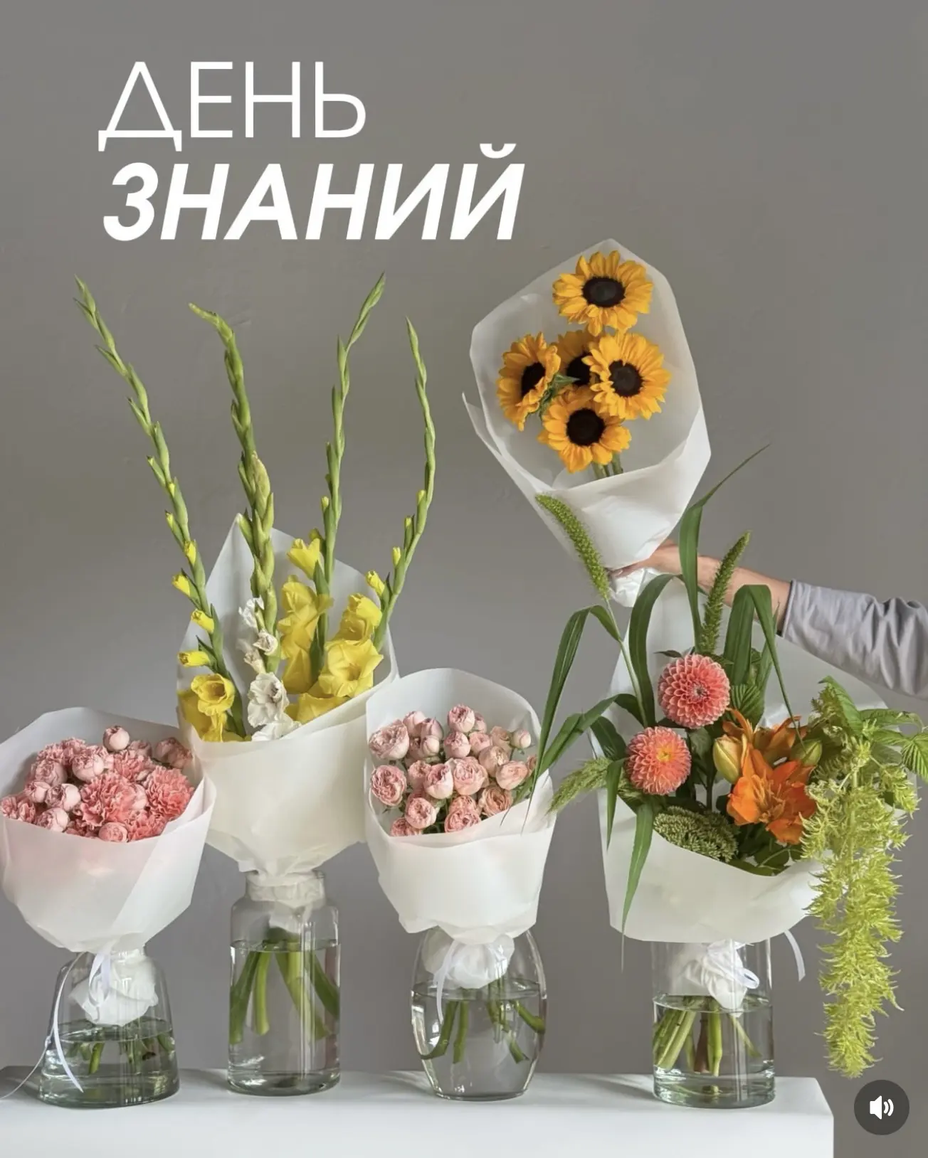 Принимаем заказы к 1 сентября !