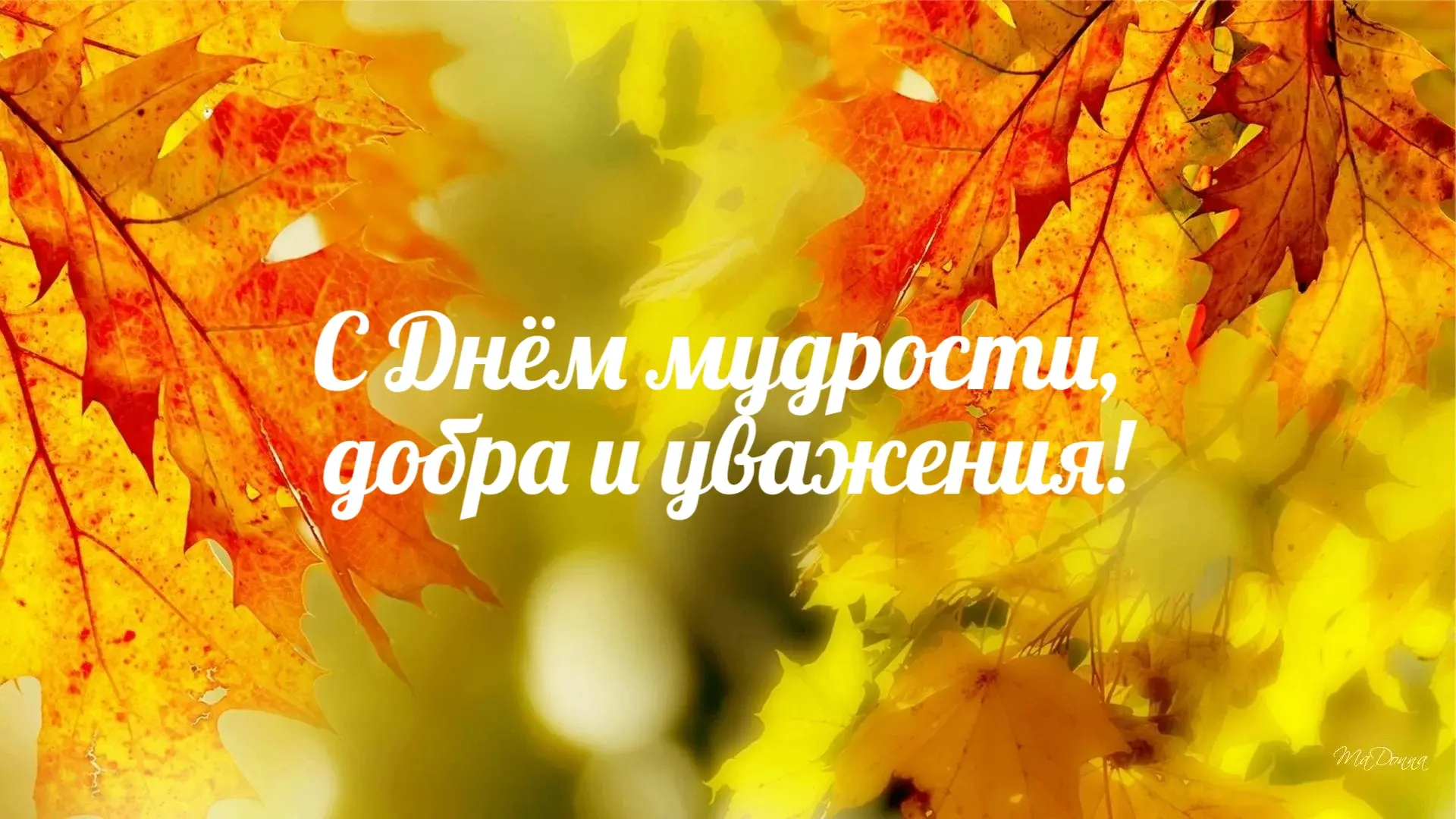 С Днём добра и мудрости! Поздравляем с праздником старшее поколение наших горожан!