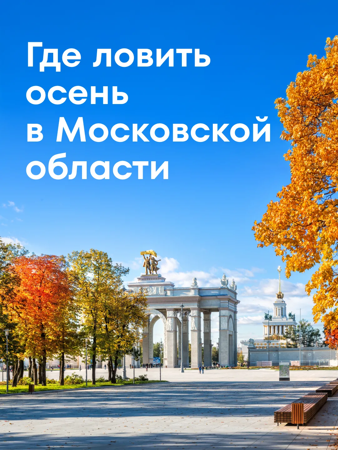 🍁Осень — сезон, когда надо много гулять и наслаждаться красотой вокруг. В карточках ра...