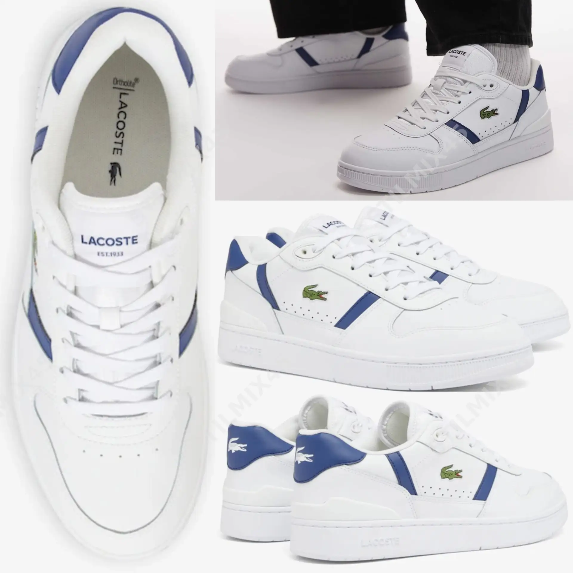 💙Lacoste💙