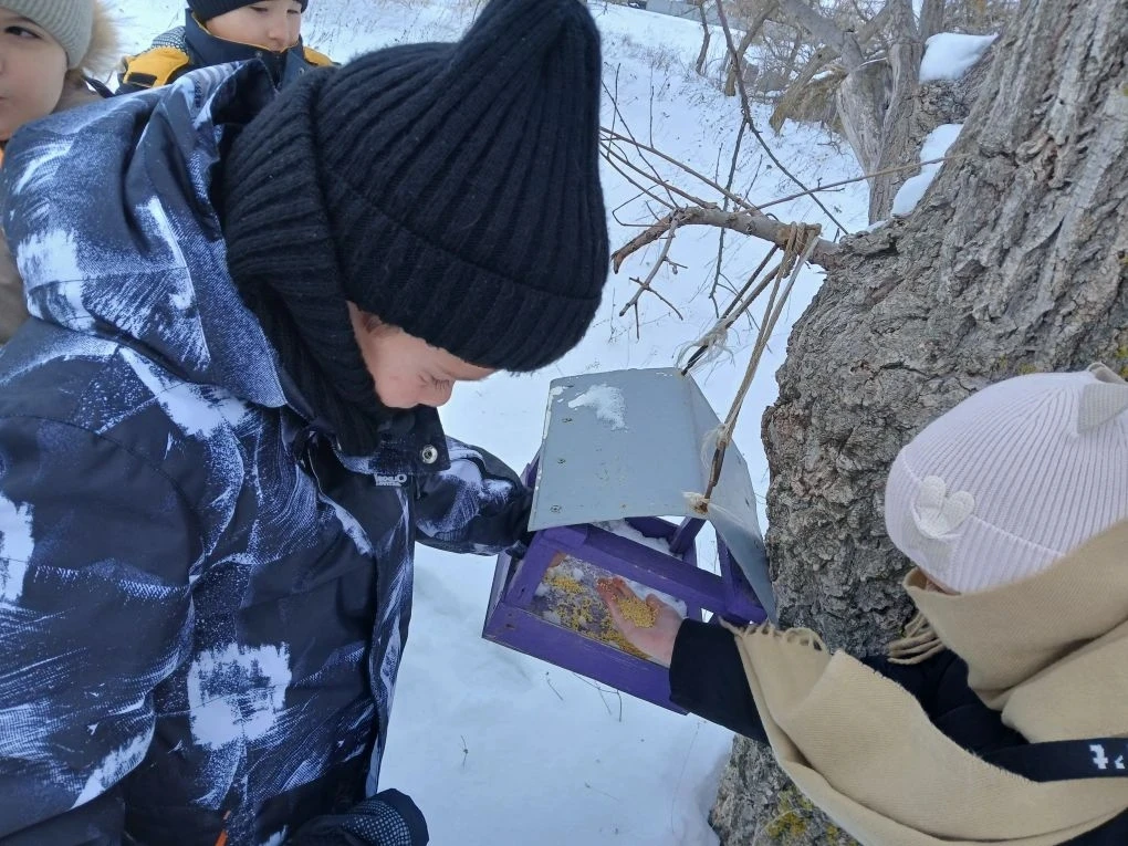 🐦 Наши маленькие герои большой зимы!