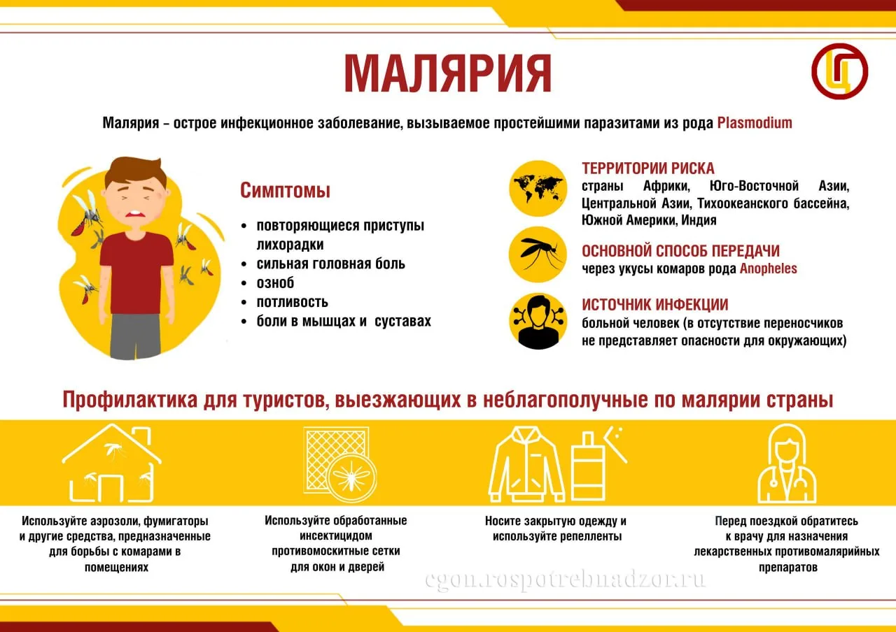 В период отпусков люди нередко желают посетить другие страны, в том числе тропические. ...