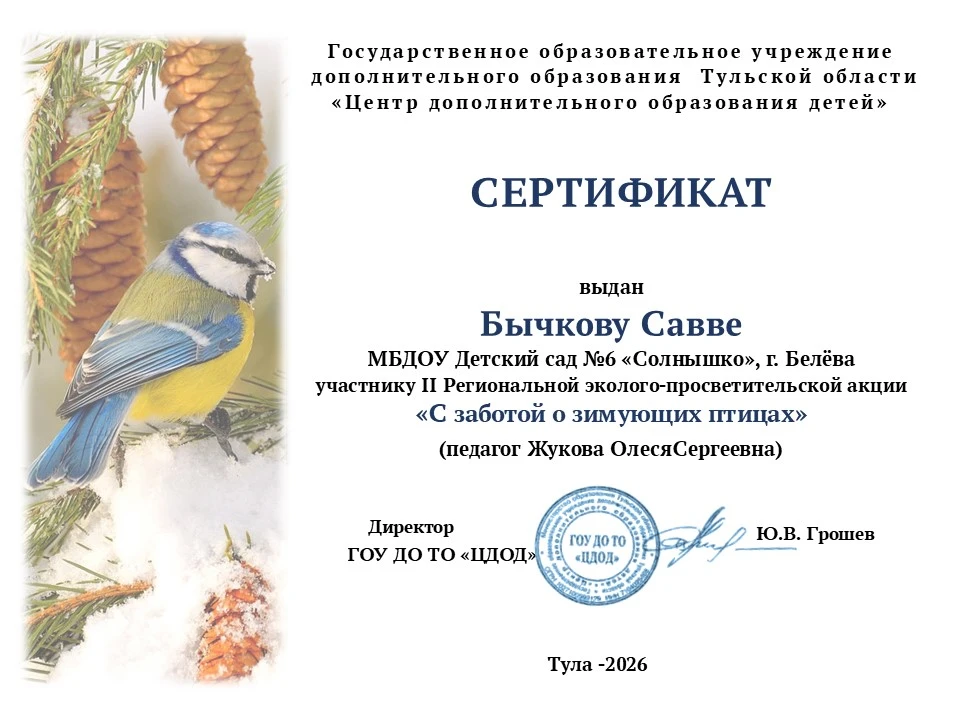 С заботой о зимующих птицах: наши воспитанники получили заслуженные награды!