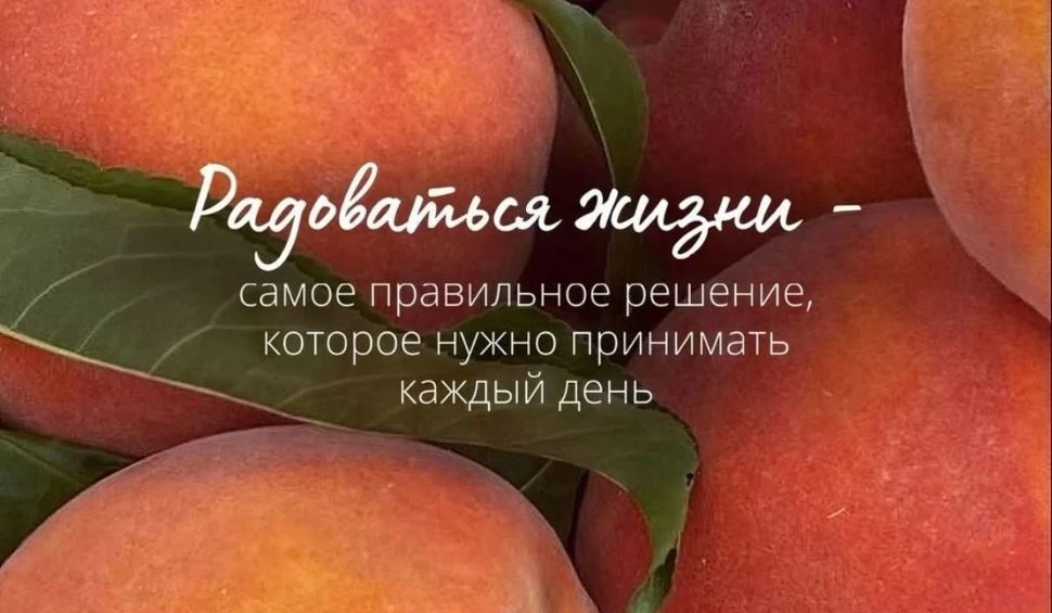 Итоги дня под картой Справедливость