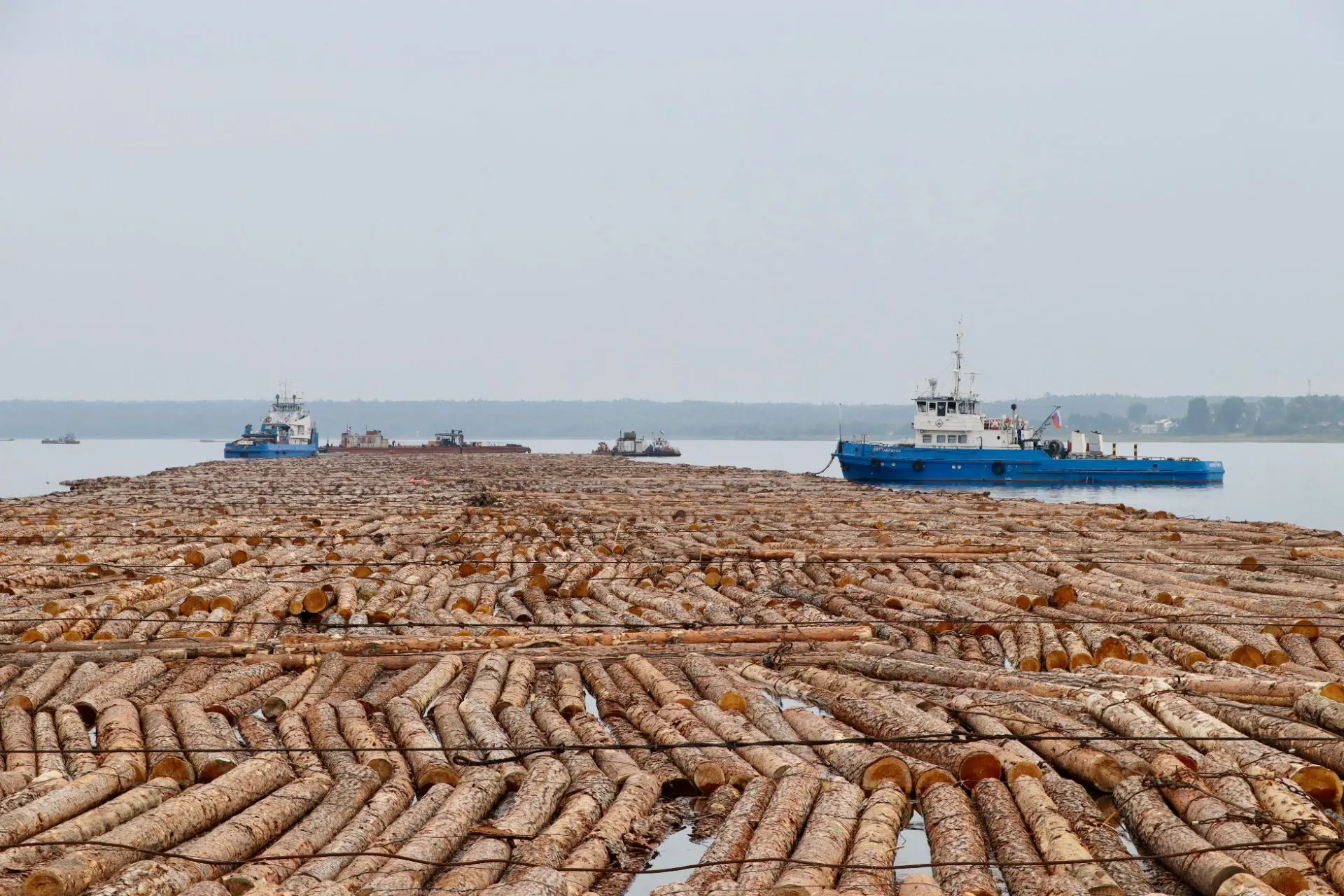 🪵 750 метров дерева, 20 тысяч кубов леса: Енисейское пароходство ведёт плот к Дудинке