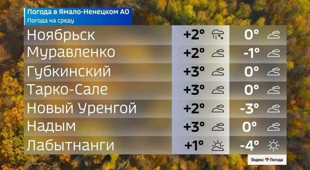 🥶 Ямал продолжает понижать температуру