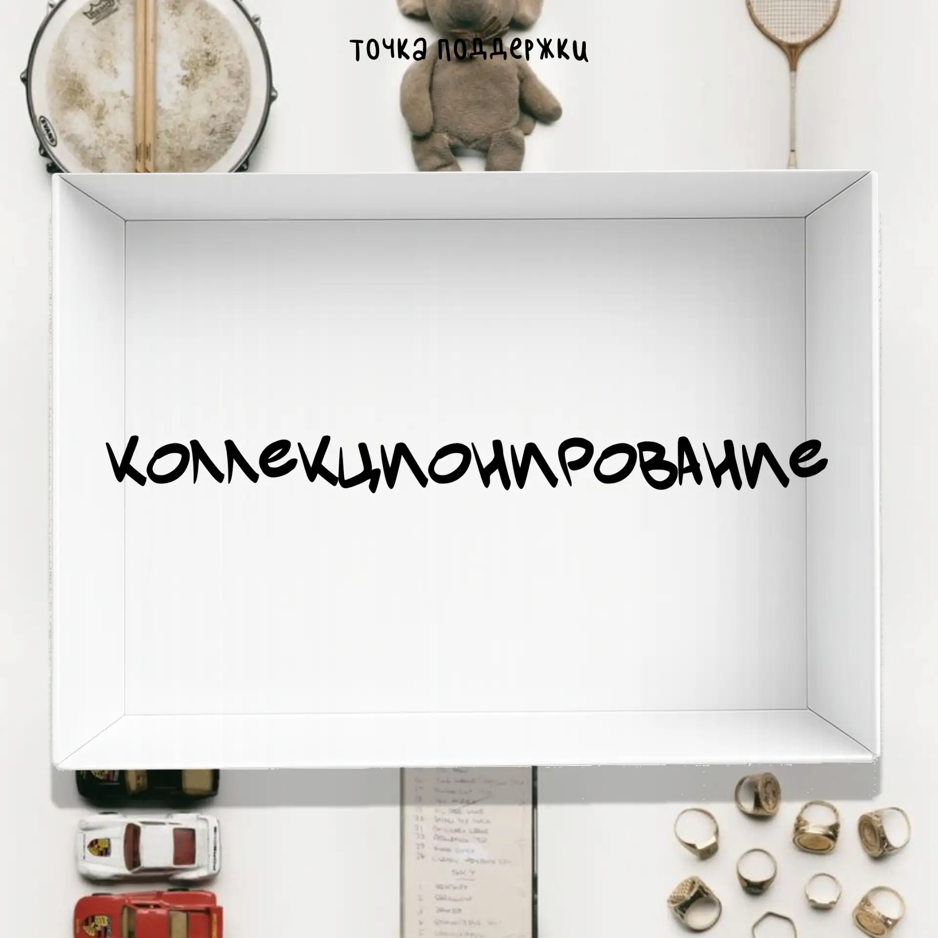 Многие из нас любят что-то собирать. Дети — фигурки из киндеров, карточки, стикеры. Подростки — вини