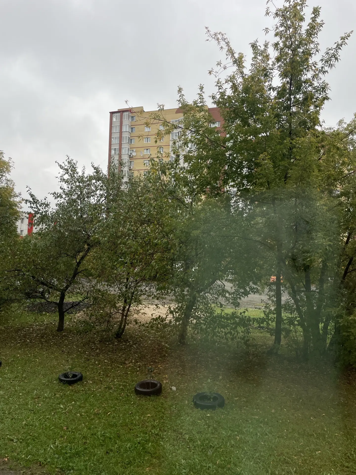 Доброе мокрое 🌧️