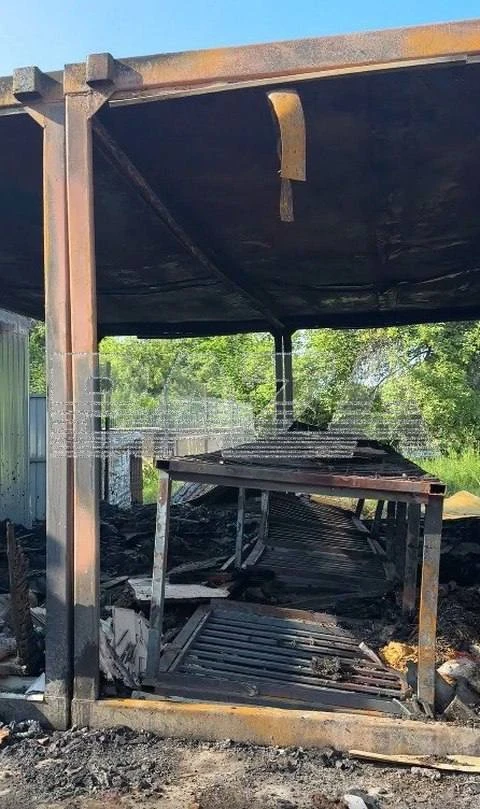 19 собак погибли из-за пожара в приюте в Тверской области.
