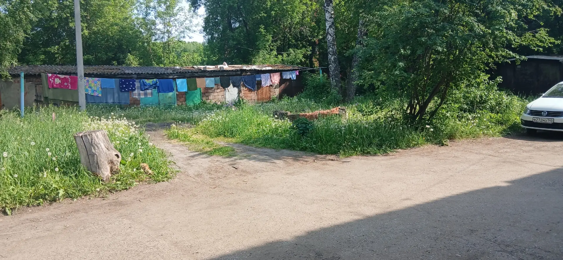 Новокировский 8 .не кошена трава . Жеку пофигу

Предложить новость администратору👈 -