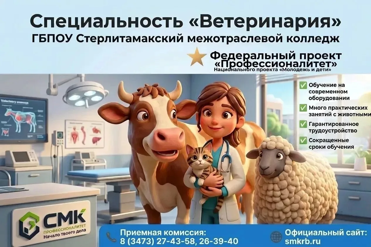 🎓 Приемная кампания продолжается....